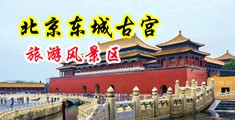 欧美18p一区二区流白浆中国北京-东城古宫旅游风景区